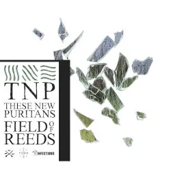 Field of Reeds album by These New Puritans