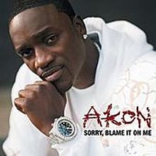 Sorry, Blame It on Me album by Akon
