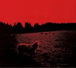 Hell-See album by Syrup16g