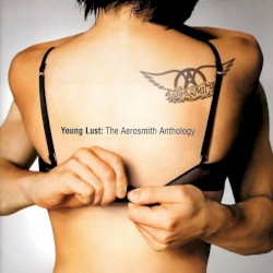 Young Lust: The Aerosmith Anthology album by Aerosmith