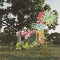Home Everywhere album by Medicine