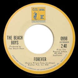 Cool, Cool Water album by The Beach Boys