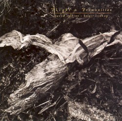 Plight & Premonition album by David Sylvian