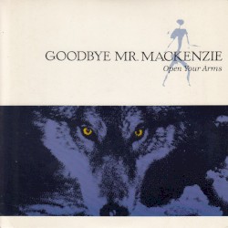 Open Your Arms album by Goodbye Mr. Mackenzie