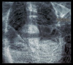 Fear Falls Burning & Birchville Cat Motel album by Vidna Obmana