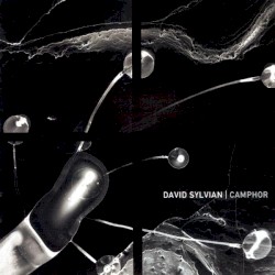 Camphor album by David Sylvian