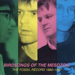 The Fossil Record 1980-1987 album by Birdsongs of the Mesozoic