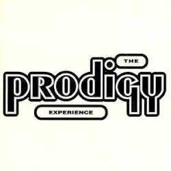 Experience