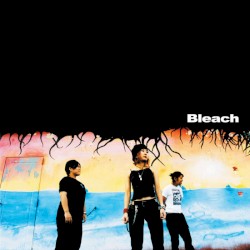 Bleach