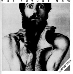 The Future Now album by Peter Hammill