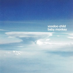 Baby Monkey album by Moby