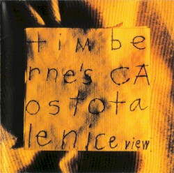 Nice View album by Tim Berne