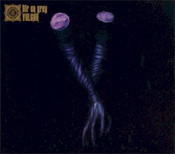 Vulgar album by Dir En Grey