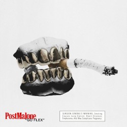 Go Flex album by Post Malone