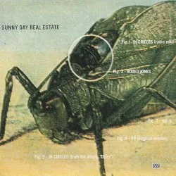 In Circles album by Sunny Day Real Estate