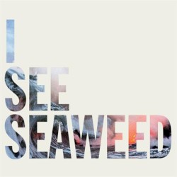 I See Seaweed album by The Drones