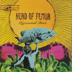 Hysterical Stars album by Head of Femur