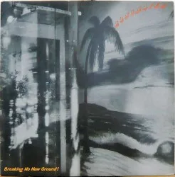 Breaking No New Ground! album by Bongwater
