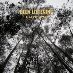 Been Listening album by Johnny Flynn