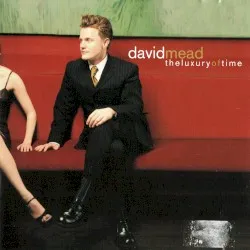 The Luxury of Time album by David Mead