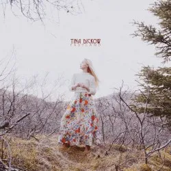 Fastland album by Tina Dico