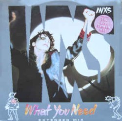 What You Need album by INXS
