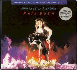 Moments of Pleasure album by Kate Bush