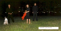 Necessary album by Every Little Thing