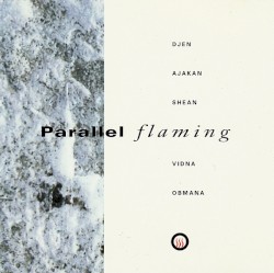 Parallel Flaming album by Vidna Obmana