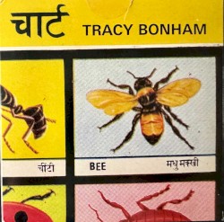 Bee album by Tracy Bonham