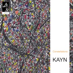 Constellations album by Roland Kayn