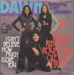 Tie a Yellow Ribbon Round the Ole Oak Tree / I Can't Believe How Much I Love You album by Tony Orlando and Dawn