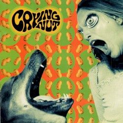 Speed Up Losers album by Crying Nut