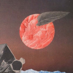 Telecom Live album by Merzbow