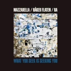 What You Seek Is Seeking You album by Avreeayl Ra