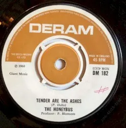 I Can't Let Maggie Go / Tender Are the Ashes album by Honeybus