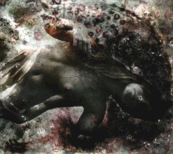 Eight Bells album by SubArachnoid Space