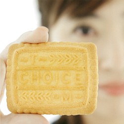 Choice album by Megumi Hayashibara