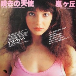 嘆きの天使  / 嵐ヶ丘 album by Kate Bush