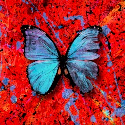 Visiting Hours album by Ed Sheeran