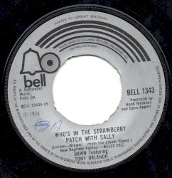 Who's in the strawberry patch with Sally album by Tony Orlando and Dawn