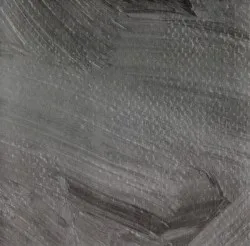 The Grey