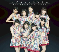 Shūkatsu Sensation / Waratte / Hana Moyō album by Camellia Factory