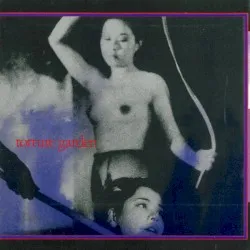 Torture Garden album by Naked City