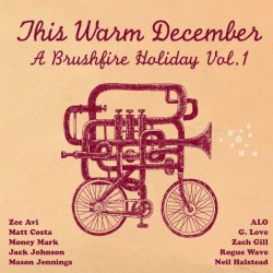 This Warm December album by Zee Avi