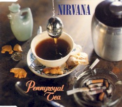 Pennyroyal Tea album by Nirvana