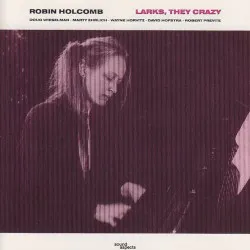 Larks, They Crazy album by Robin Holcomb