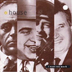 I Want Too Much album by A House