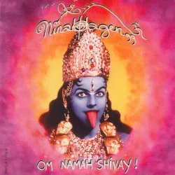 Om Namah Shivay