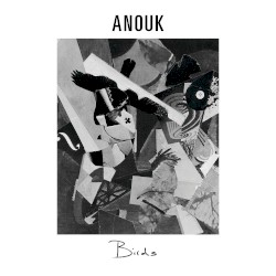 Birds album by Anouk